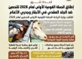 الزراعة: تطلق الحملة القومية الأولى لعام 2026 للتحصين ضد الجلد العقدي في الأبقار وجدري الأغنام لمدة شهر