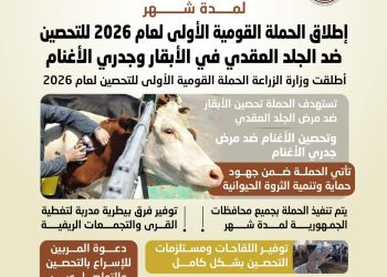 الزراعة: تطلق الحملة القومية الأولى لعام 2026 للتحصين ضد الجلد العقدي في الأبقار وجدري الأغنام لمدة شهر