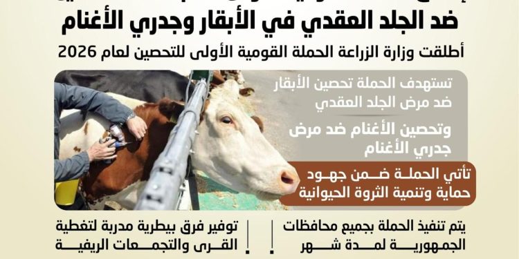 الزراعة: تطلق الحملة القومية الأولى لعام 2026 للتحصين ضد الجلد العقدي في الأبقار وجدري الأغنام لمدة شهر