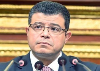 النائب محمد سليمان: المرأة المصرية حققت أسطورة نجاح على مر العصور