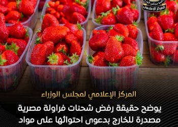 الوزراء: يوضح حقيقة رفض شحنات فراولة مصرية مصدرة للخارج بدعوى احتوائها على مواد مسرطنة وطرحها بالأسواق للمواطنين