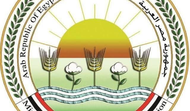 وزير الزراعة: الأحد افتتاح جزئي لمعرض زهور الربيع بالمتحف الزراعي احتفالا بشم النسيم.. والافتتاح الرسمي الخميس 16 أبريل